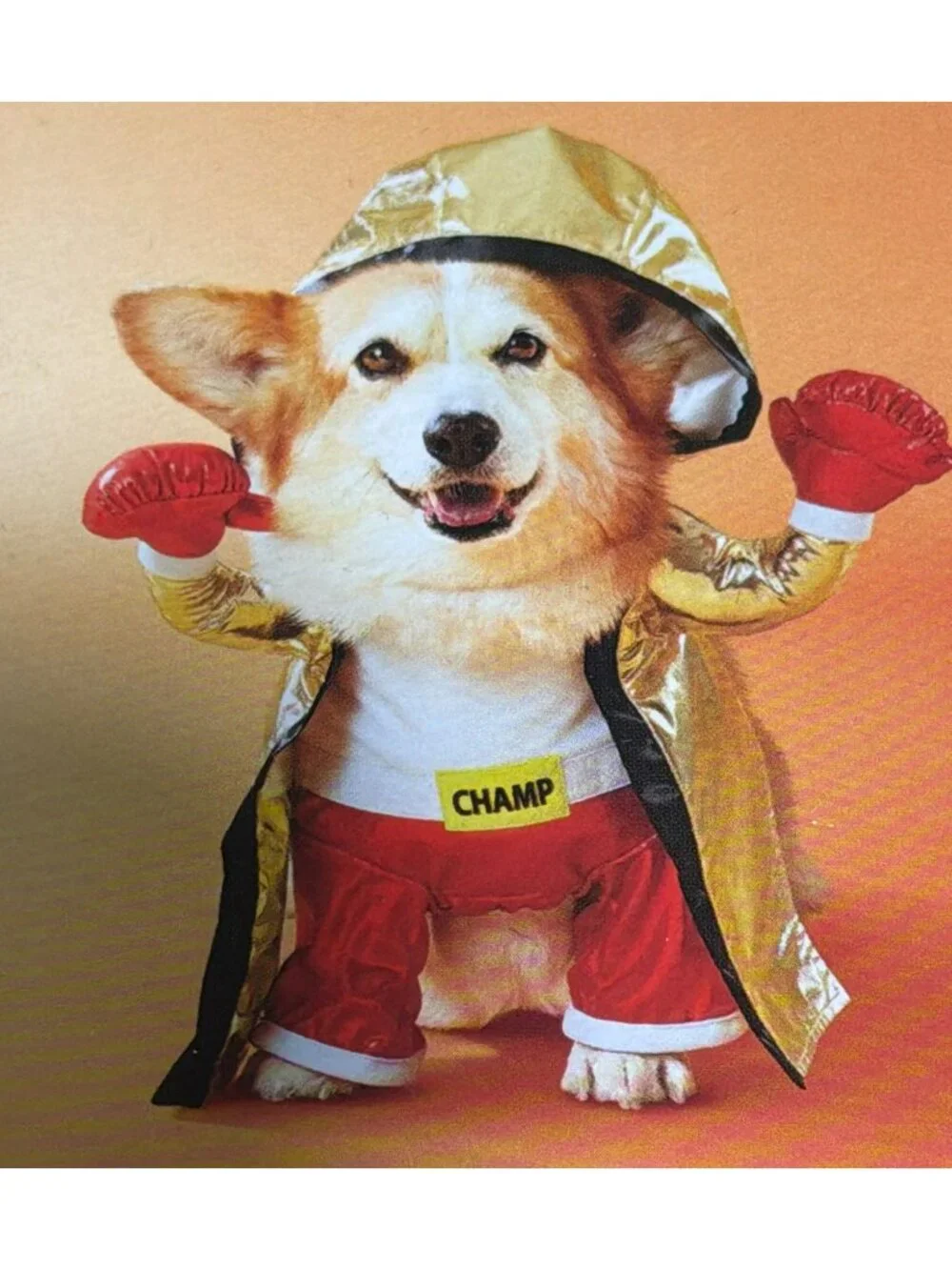 Boxer Champ Dog Pet Costume By Boots & Barkley New